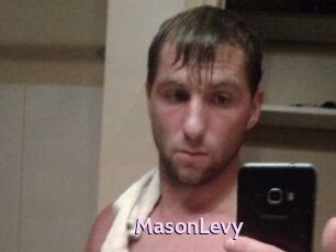 Mason_Levy