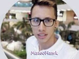 MateoHawk