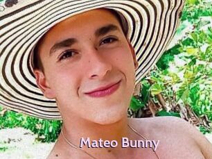 Mateo_Bunny