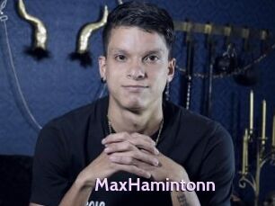 MaxHamintonn
