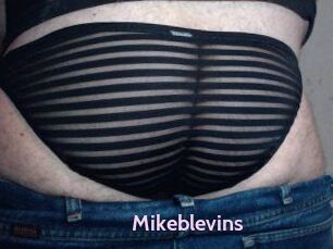 Mikeblevins