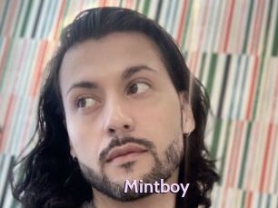 Mintboy