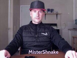 MisterShnake