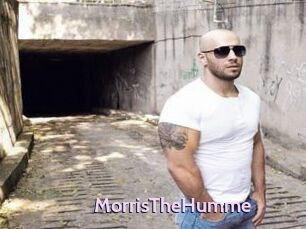 MorrisTheHumme
