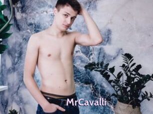 MrCavalli