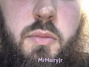 MrHairyJr