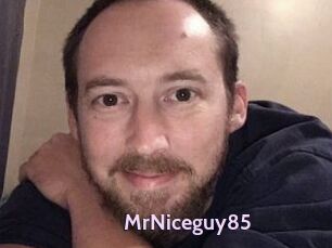 MrNiceguy85