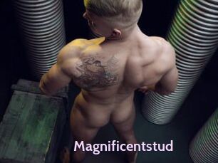 Magnificentstud
