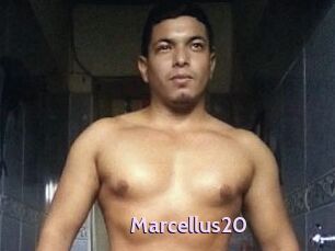 Marcellus20