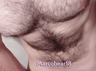 Marcobear18