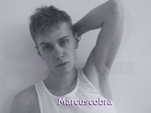 marcuscobra Gay Zone 24