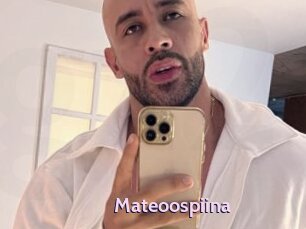 Mateoospiina