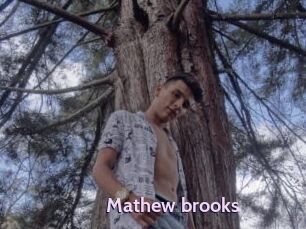 Mathew_brooks