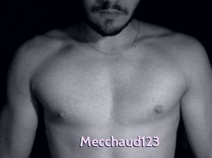 Mecchaud123