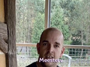 Meesterv
