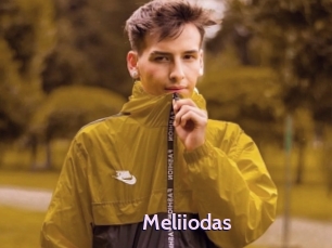 Meliiodas