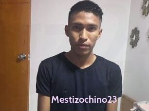 Mestizochino23