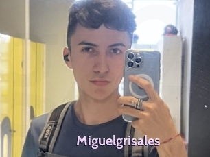 miguelgrisales Gay Zone 24