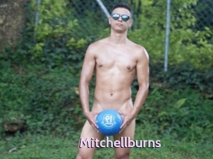 Mitchellburns