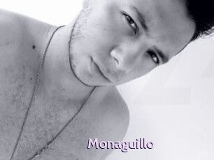 Monaguillo