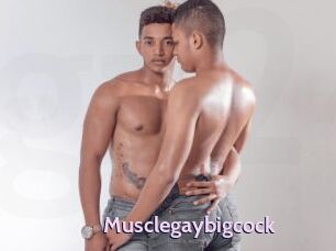 Musclegaybigcock