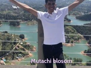 Mutachi_blosom