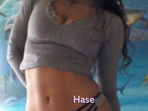 Hase