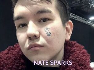 NATE_SPARKS