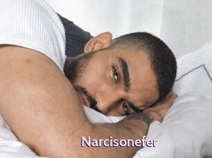 Narcisonefer