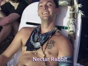 Nectar_Rabbit