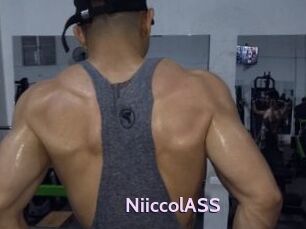 NiiccolASS