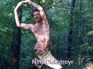 NinjaDickstroyr