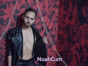 NoahCum
