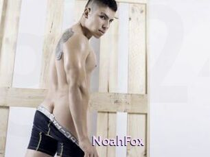 NoahFox