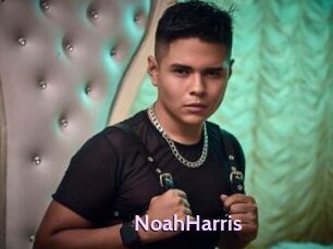 NoahHarris