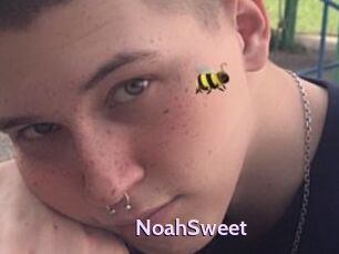 NoahSweet
