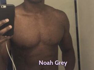 Noah_Grey