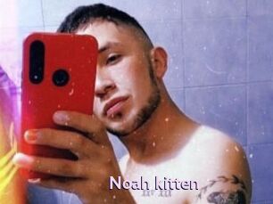 Noah_kitten