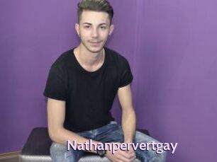 Nathanpervertgay
