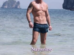 Nattenino