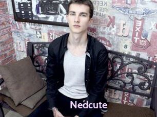 Nedcute