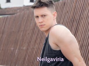 Neilgaviria
