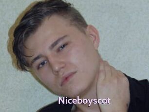 Niceboyscot
