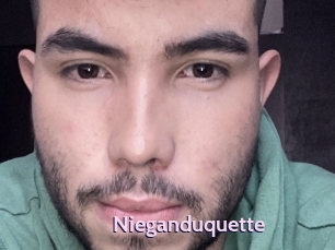 Nieganduquette