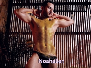 Noahallen