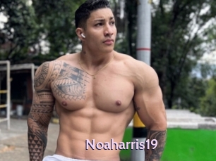 Noaharris19