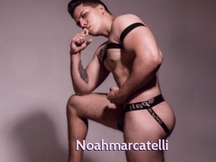 noahmarcatelli Gay Zone 24