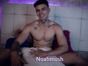 noahmush Gay Zone 24
