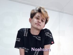 Noahsam