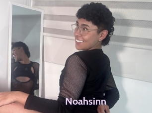 Noahsinn